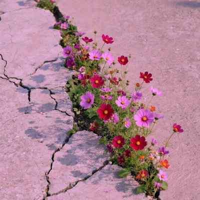 دانلود آهنگ حال خرابمو میکنم روز به روز بازسازی Ahange Hal Khrabamo Mikonam دانلود آهنگ حال خرابمو میکنم روز به روز بازسازی