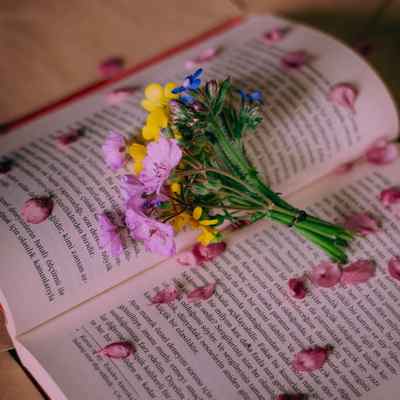 دانلود اهنگ این آخریا حرفات میداد بوی رفتن انگار خسته شده بودی دیگه
