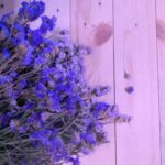 دانلود آهنگ خیال خنده های تو شد ارزوی هرشبم دانلود آهنگ خیال خنده های تو شد ارزوی هرشبم