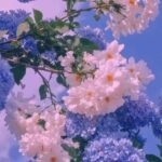 دانلود آهنگ بیا بریم ز شهر بدر وای یه چی بگم سیت دانلود آهنگ بیا بریم ز شهر بدر وای یه چی بگم سیت