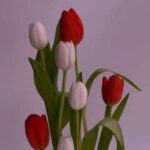 دانلود آهنگ چای گچرم شوربا گچرم دانلود آهنگ چای گچرم شوربا گچرم