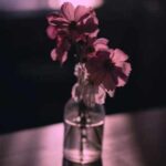 دانلود آهنگ تا زمانی که رسیدن به تو امکان دارد