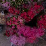 آهنگ ای دلیم دلیم منیم دلیم یا سن گل یادا من گلیم