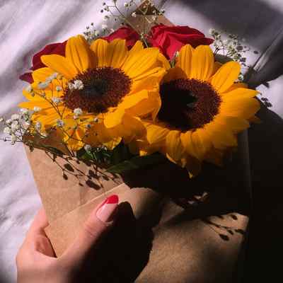 دانلود آهنگ بدو ای برگ بیدوم که سیاه رخ سفیدم Ahange Bodo Ei Barge Bidam دانلود آهنگ بدو ای برگ بیدوم که سیاه رخ سفیدم
