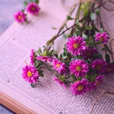 Muslum Gurses Ikimizin Yerine دانلود آهنگ ایکیمیزین یرینه از مسلم گورسس