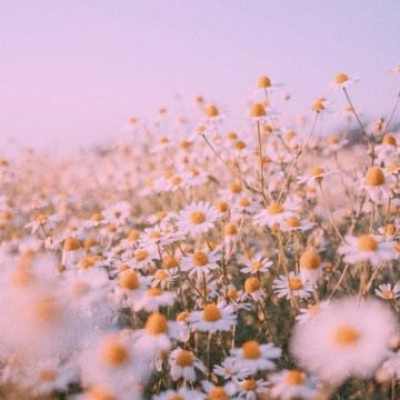 دانلود آهنگ آی فرشته آی فرشته تو چشات خود بهشته Ahange Ay Fereshteh Ay Fereshteh دانلود آهنگ آی فرشته آی فرشته تو چشات خود بهشته