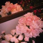 دانلود آهنگ اشک چشمام انگار نم نم بارون ای یار دانلود آهنگ اشک چشمام انگار نم نم بارون ای یار