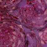 آهنگ شیرین آی شیرین شیرین تا تماشای تو نکم