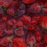 دانلود آهنگ سیرینه گل بیزیم گوزل ائللرین اوز عشقیمله وطنیمه باغلیم