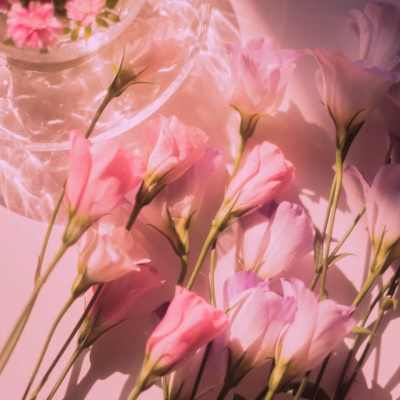 Leonard Cohen Everybody Knows دانلود آهنگ هر کسی میدونه لئونارد کوهن