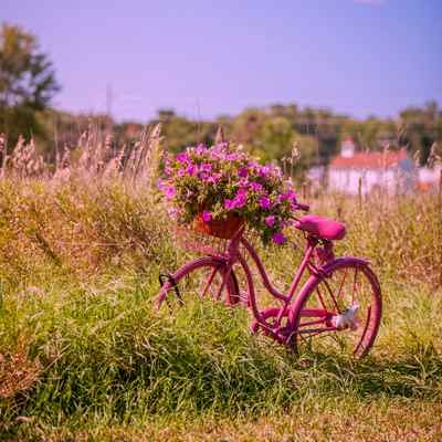 دانلود آهنگ آه ای دلبر تو ای رعناترین دخت دانلود آهنگ آه ای دلبر تو ای رعناترین دخت