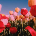 دانلود آهنگ اینجا کجاست مدرسه اینجا کجاست کلاسه