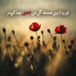 آهنگ تو رو از بین صدها گل من احمق جدا کردم