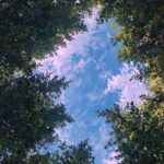دانلود آهنگ به به به به گوزلره