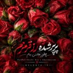 پرپر شده گل قرمزم چطور نجاتش بدم پرپر شده گل قرمزم چطور نجاتش بدم