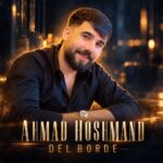 احمد هوشمند یه شلال پل کمندی دل برده احمد هوشمند یه شلال پل کمندی دل برده